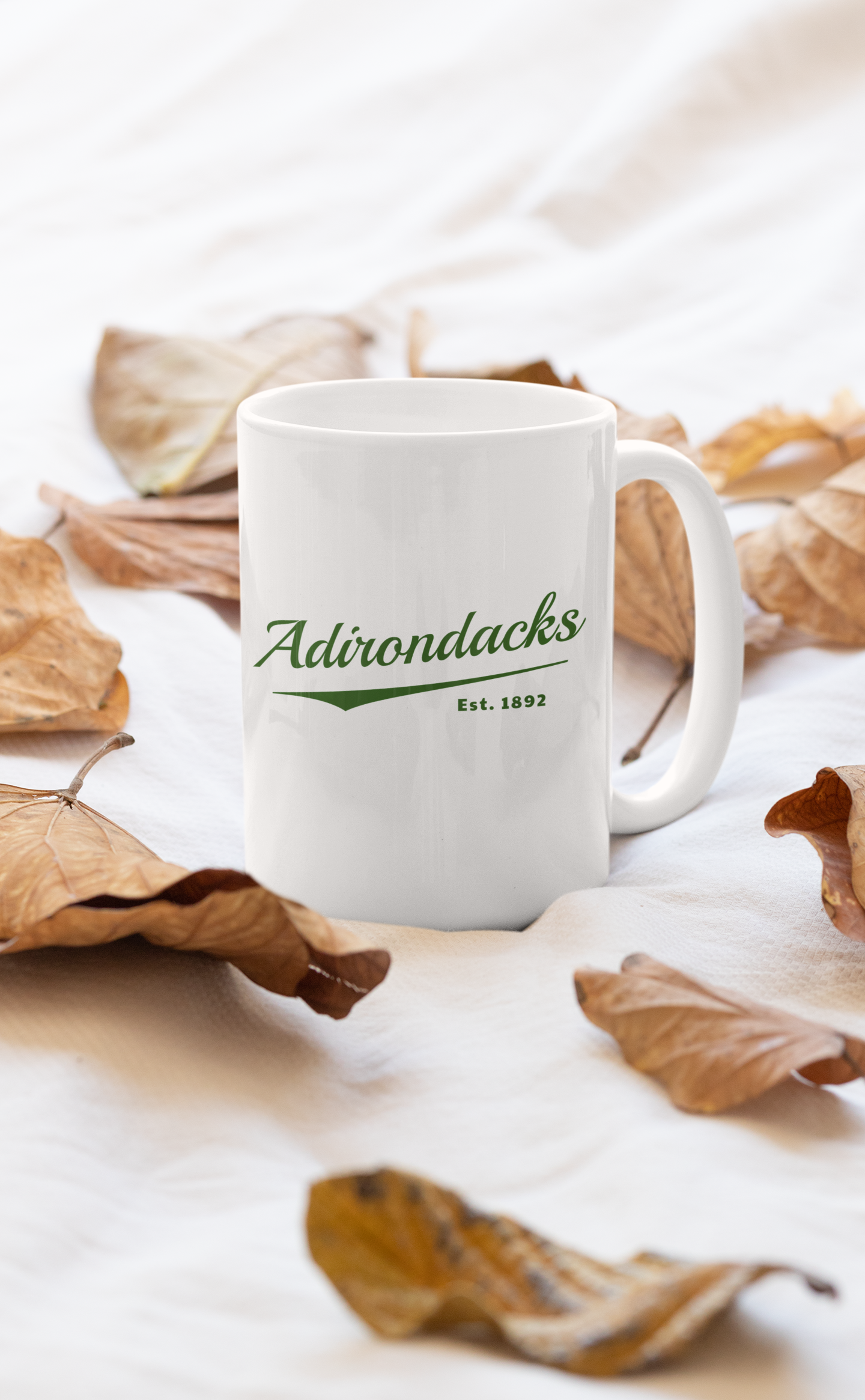 15 oz. Adirondacks Script Ceramic Mug