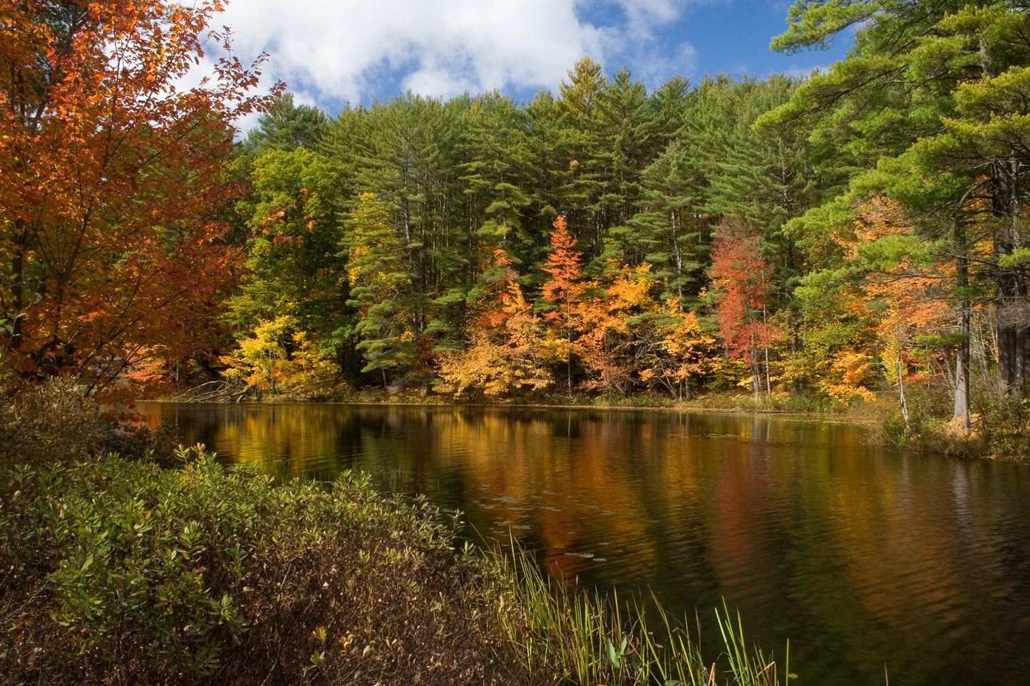 Adirondack Fall Foliage Fine Art Photo or Canvas Print