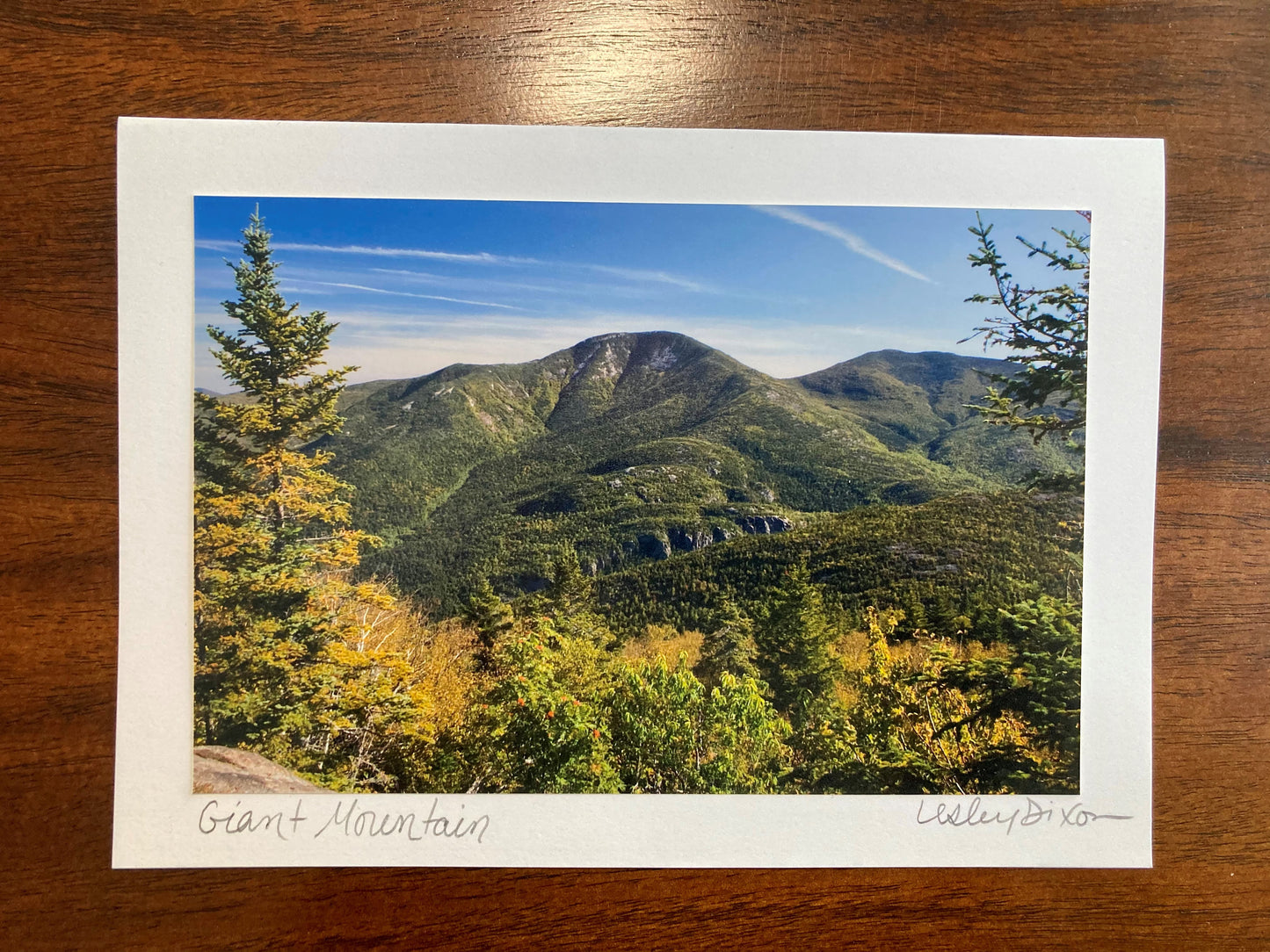 Adirondack Notecard Set