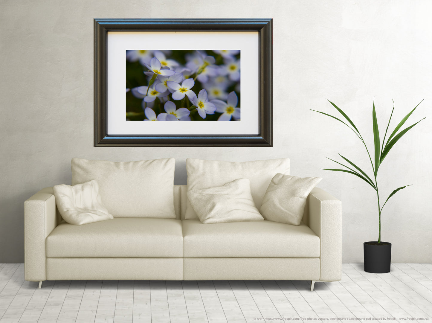 Bluets Fine Art Photo or Canvas Print