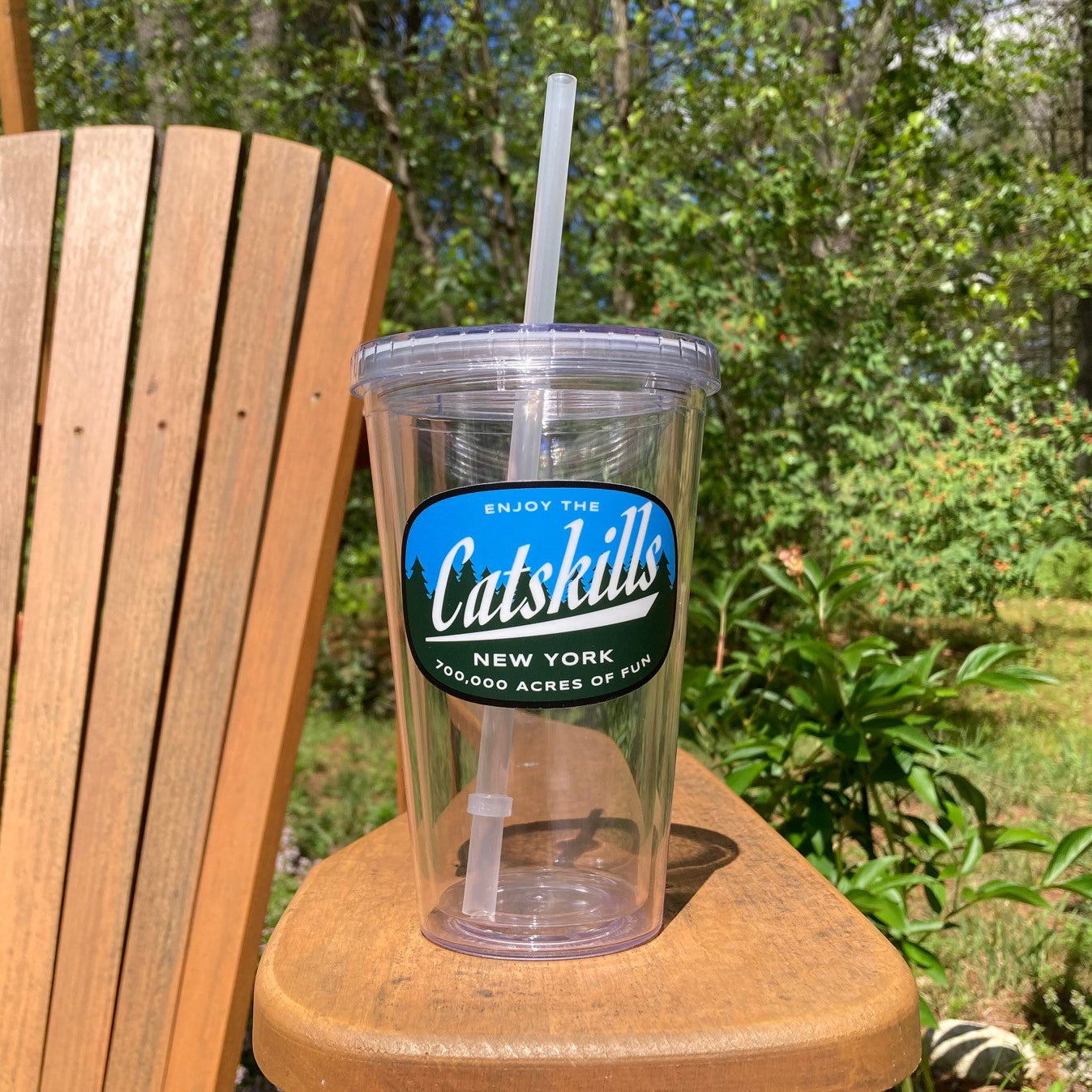 Catskills Insulated Double Wall Tumbler with Reusable Straw 16 oz.